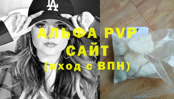 индика Козловка