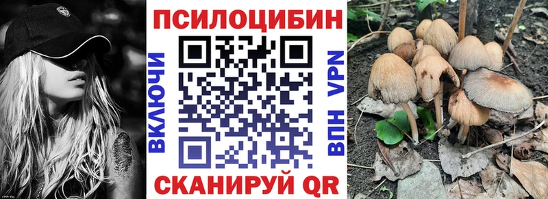 OMG сайт Сурск Псилоцибиновые грибы прущие грибы